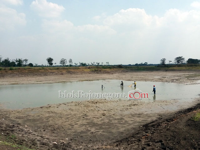 Musim Kemarau, Disnakkan Klaim Petani Ikan Sudah Panen